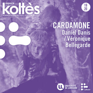 Cardamone