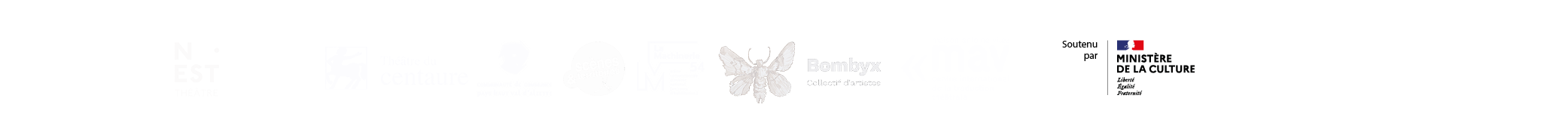 bandeau_partenaires TSF