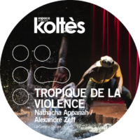 Tropique de la violence