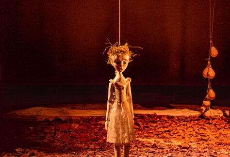 2022 P KUHN-mandarine blanche-140