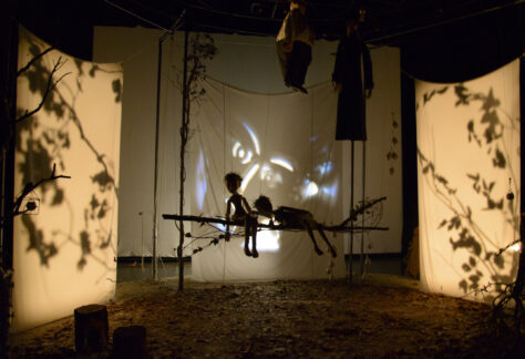 2022 P KUHN-mandarine blanche-166