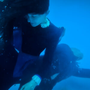 Hamlet - variation crédit Guillaume Lenel