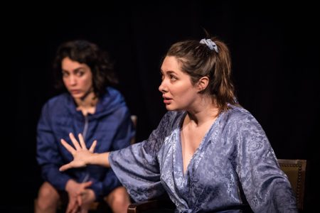 Les femmes de Barbe Bleue