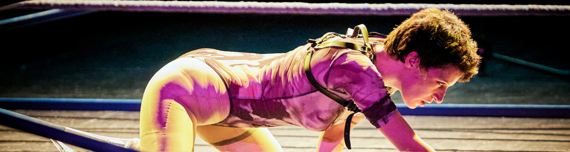 Bandeau - Requin Velours