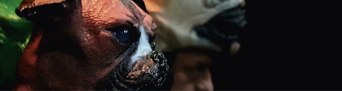 Bandeau La Ferme des animals