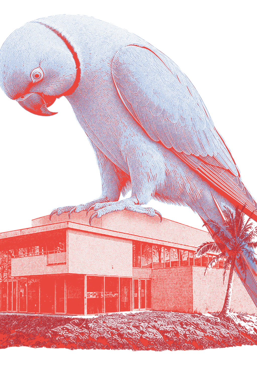 Koltes-visuelsCC-22