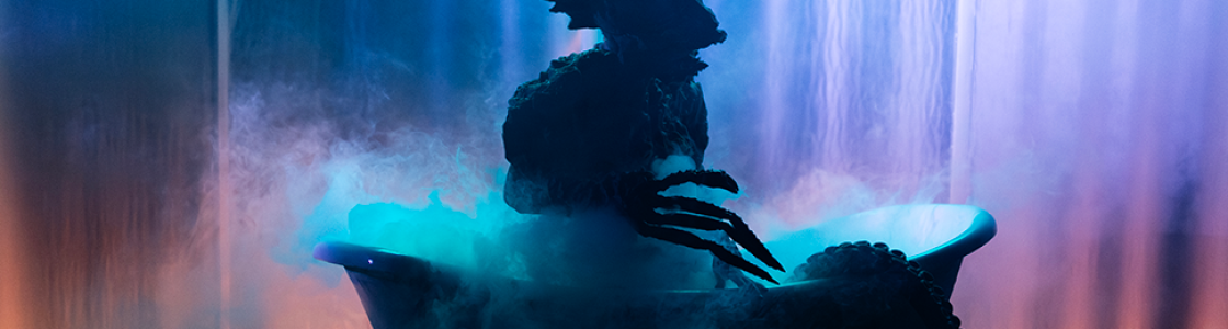 © L_Homme-Poisson - web - Filifox - Philippe Savoir 3 HD